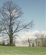 0040.jpg