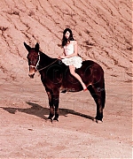 Filename=015.jpg
Filesize=91KiB
Dimensions=487x649
Date added=Jun 03, 2020 015.jpg