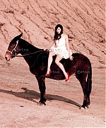 Filename=017.jpg
Filesize=91KiB
Dimensions=487x649
Date added=Jun 03, 2020 017.jpg